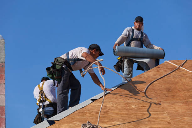 Best Storm Damage Roof Repair  in Fredonia, AZ